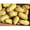 土豆厂家代理储存新鲜蔬菜 代理出口冷库土豆 代加工包装土豆