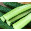 新鲜黄瓜5斤农家自种蔬菜产地直发绿瓤带刺青瓜生吃脆甜